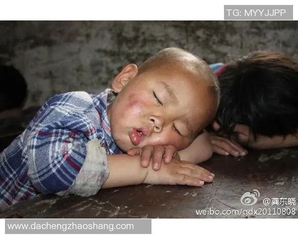 专访排球明星赵娜揭秘成功背后的心路历程与奋斗故事