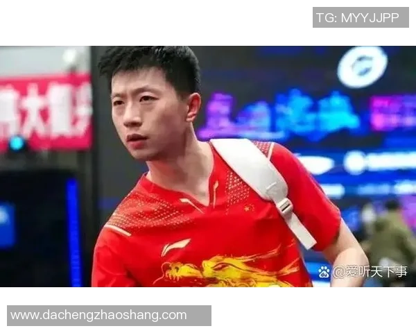 北京乒乓球队的拼搏历程与大满贯荣耀背后的故事分享