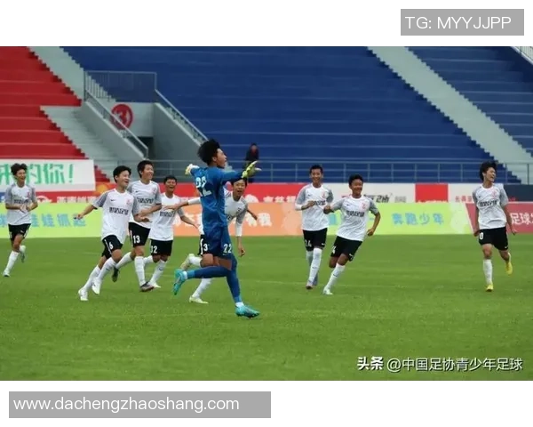 南京足球队荣登足球节奏排行榜第八名展现实力与潜力