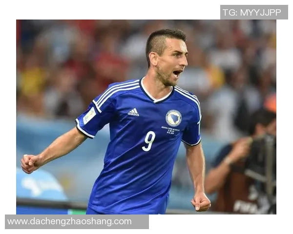 波黑足球现役明星球员全景盘点与成就分析