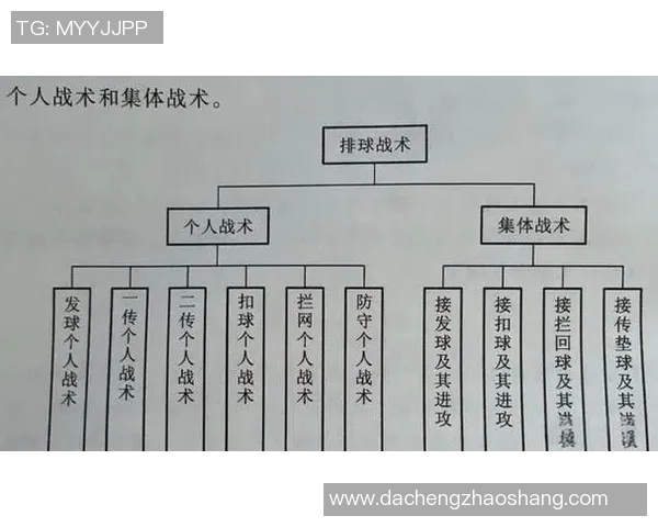 重庆排球队的战术节奏分析与未来发展展望