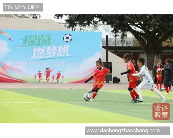 抽爆足球的激情与梦想在绿茵场上绽放的瞬间