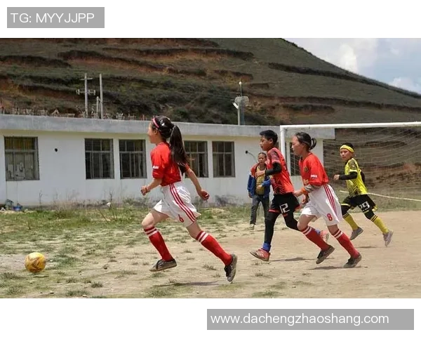 足球核酸检测的必要性与影响分析及其对比赛安全的保障作用