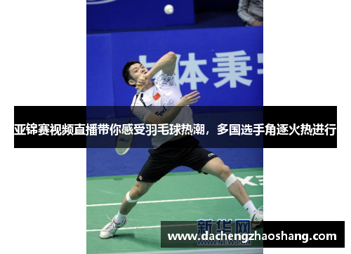 亚锦赛视频直播带你感受羽毛球热潮，多国选手角逐火热进行