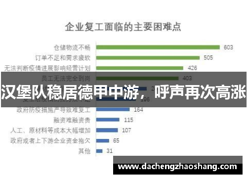 汉堡队稳居德甲中游，呼声再次高涨