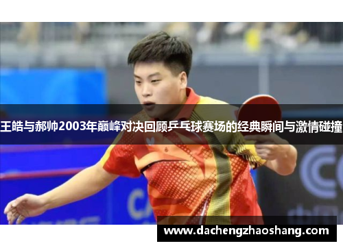 王皓与郝帅2003年巅峰对决回顾乒乓球赛场的经典瞬间与激情碰撞