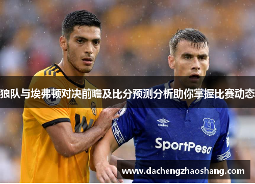 狼队与埃弗顿对决前瞻及比分预测分析助你掌握比赛动态